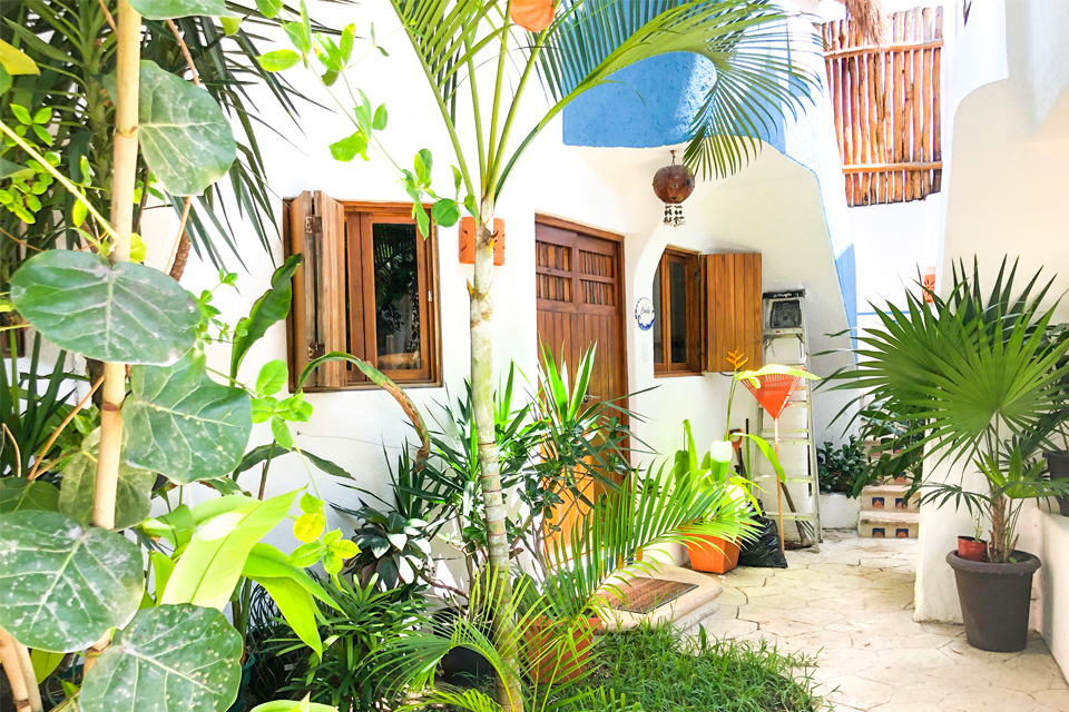 fachada de casa con plantas, ventanas y puerta proyecto tamarindo