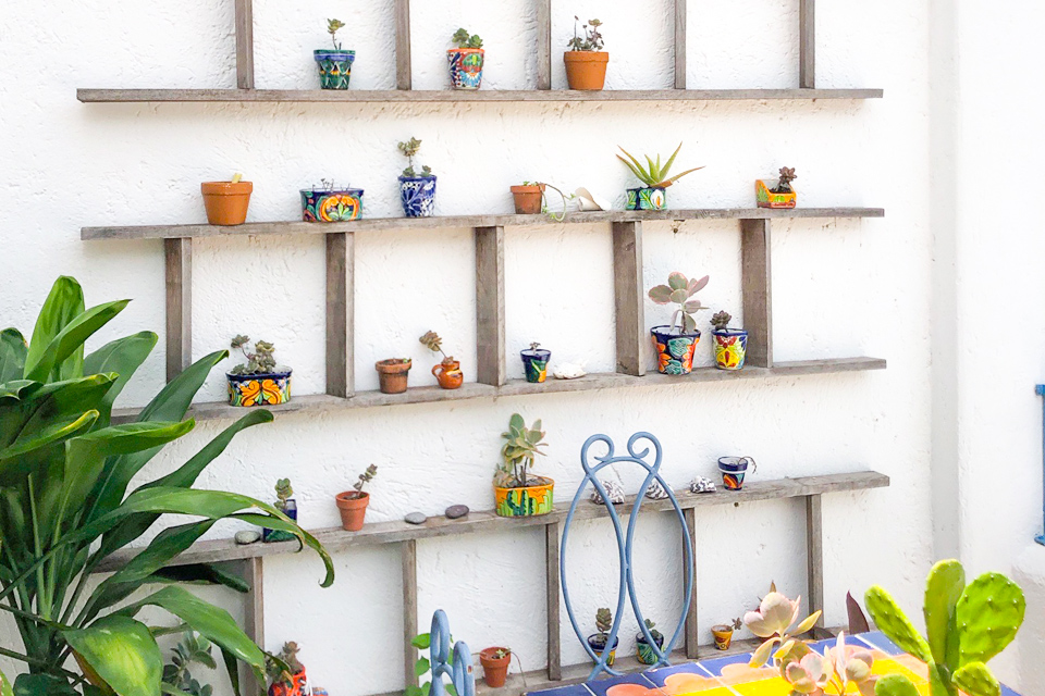 repisas de madera con macetas en pared proyecto tamarindo